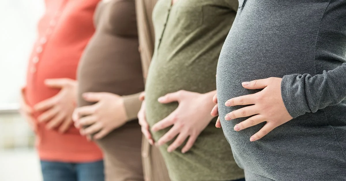 Assisted Embryo Hatching Treatment in Noida - Anaya IVF & Fertility Care