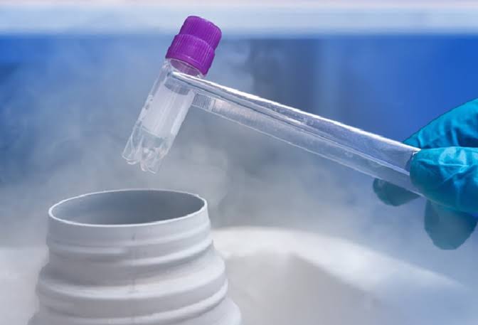 Eggs & Embryo Freezing Laboratory at Anaya IVF & Fertility Care