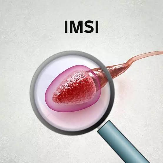 IMSI IVF Treatment in Noida Laboratory at Anaya IVF & Fertility Care