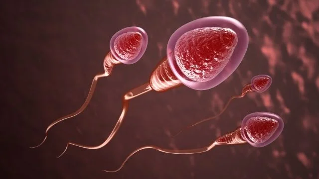 Low Sperm Count Treatment in Noida Specialist